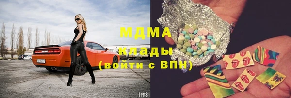 прущие грибы Алзамай
