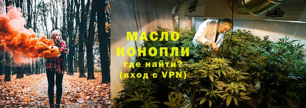 прущие грибы Алзамай