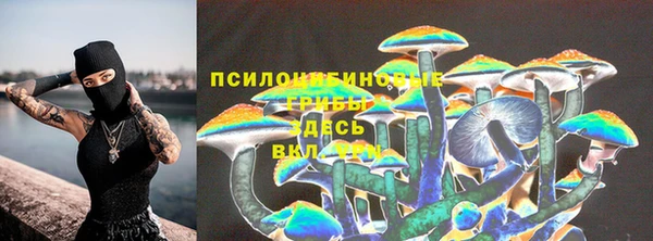 прущие грибы Алзамай