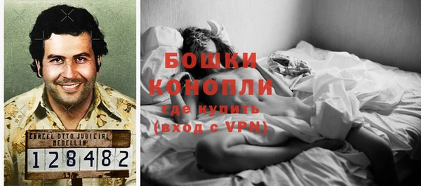 прущие грибы Алзамай