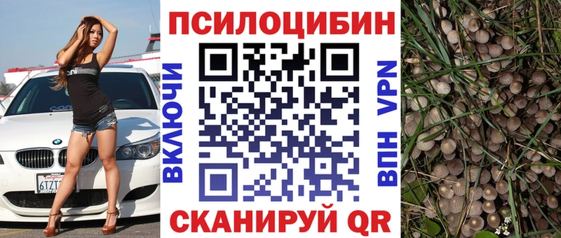 Псилоцибиновые грибы прущие грибы  Люберцы 